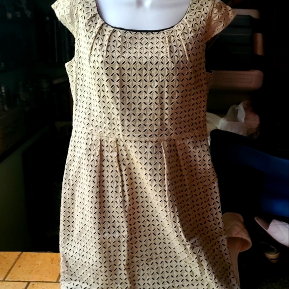 Calvin Klein Dresses & Skirts - Calvin Klein black * Tan beautiful eyelet dress sz10p